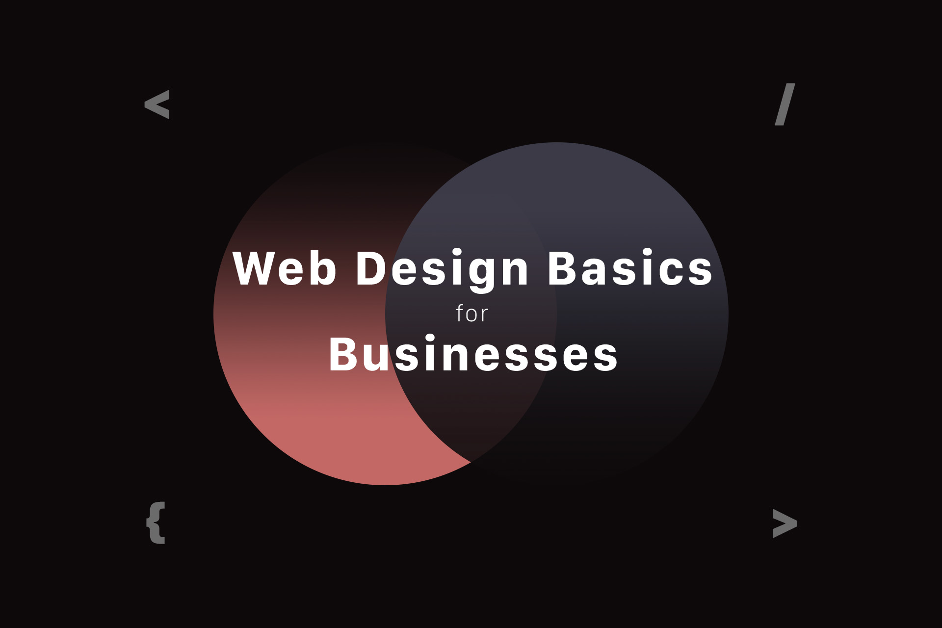 Web Design Basics for Businesses | Maven X